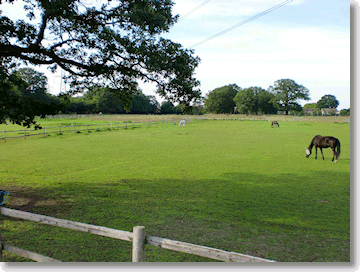 Riding Centre Holly Bush Stables Riding School Pony Share gallery image 13