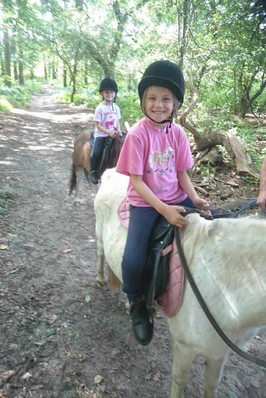 Riding Centre Holly Bush Stables Riding School Pony Share gallery image 9