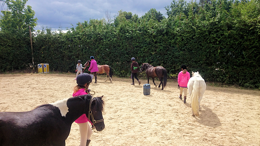 Riding Centre Holly Bush Stables Riding School Pony Share gallery image 19