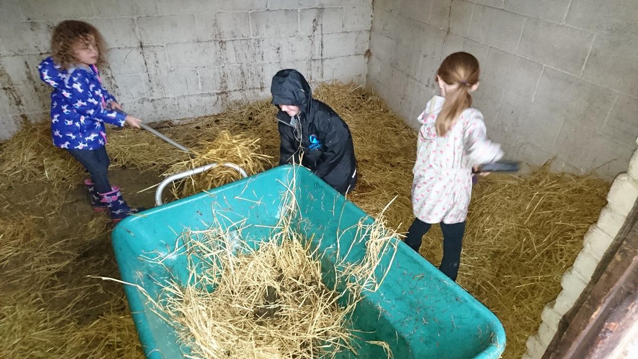 Livery and Riding Centre in Byfleet and Surrey