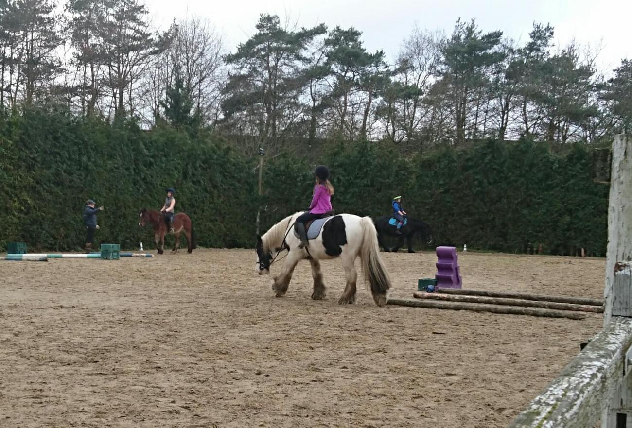Riding Centre Holly Bush Stables Riding School Pony Share gallery image 3