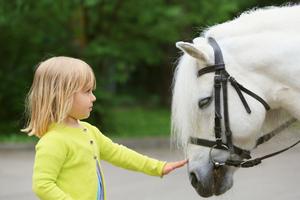 Livery Yard Riding Centre Equine Therapy in Byfleet and Surrey