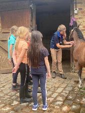Livery Yard Riding Centre Equine Therapy in Byfleet and Surrey